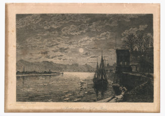 Parthie am alten Zoll in Bonn.