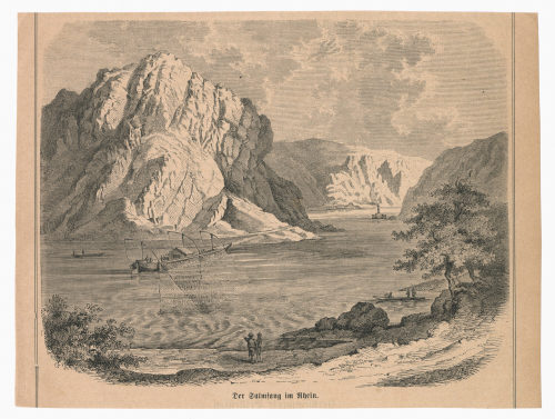 Unbekannt (Künstler*in), Der Salmfang im Rhein., 19. Jahrhundert