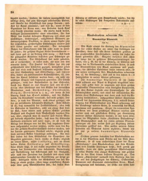 Unbekannt (Autor*in), Artikel "Der Göthakanal und die Wasserfälle bei Trollhätta", 1845