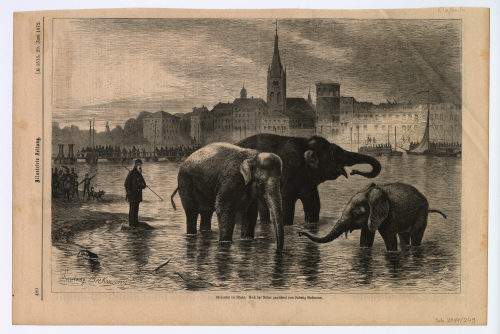 Ludwig Beckmann (Künstler*in), Elefanten im Rhein., 1872