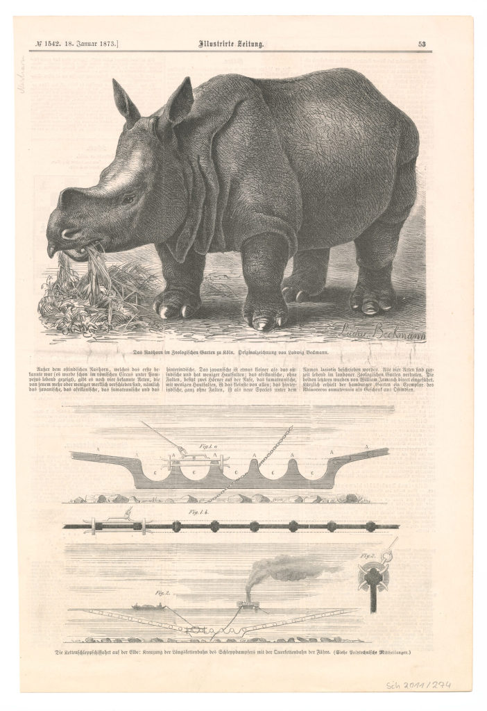 Zeitschriftenseite mit zwei Abbildungen: "Das Nashorn im Zoologischen Garten zu Köln", "Die Kettenschleppschiffahrt auf der Elbe: Kreuzung der Längskettenbahn des Schleppdampfers mit der Querkettenbahn der Fähre."