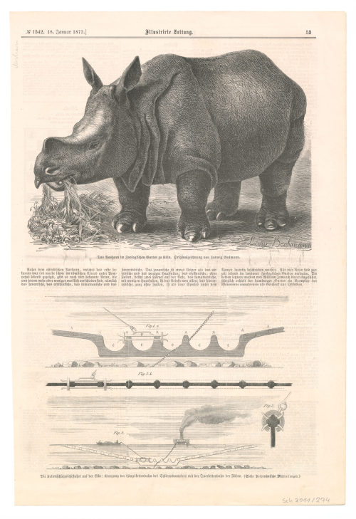 Ludwig Beckmann (Künstler*in), Zeitschriftenseite mit zwei Abbildungen: "Das Nashorn im Zoologischen Garten zu Köln", "Die Kettenschleppschiffahrt auf der Elbe: Kreuzung der Längskettenbahn des Schleppdampfers mit der Querkettenbahn der Fähre.", 1873