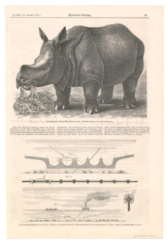 Zeitschriftenseite mit zwei Abbildungen: "Das Nashorn im Zoologischen Garten zu Köln", "Die Kettenschleppschiffahrt auf der Elbe: Kreuzung der Längskettenbahn des Schleppdampfers mit der Querkettenbahn der Fähre."