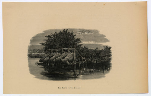 Unbekannt (Künstler*in), EEL BUCKS ON THE THAMES., um 1875