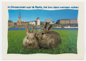 Postkarte "IN DÜSSELDORF GIBT [S] PROFIS, DIE DAS GRAS WACHSEN HÖREN."