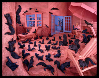 Sandy Skoglund