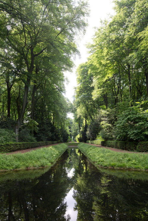 Florian Monheim (Fotokünstler*in), Blick über die sog. Trompet  nach Westen in den Parkwald von Schloss Benrath, 2014