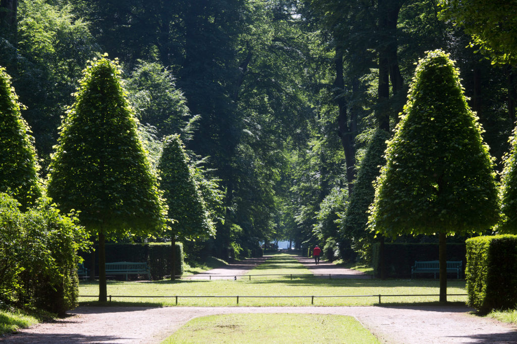 Blick in die Diagonalachse mit dem sog. Jagdstern im Parkwald von Schloss Benrath