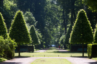 Blick in die Diagonalachse mit dem sog. Jagdstern im Parkwald von Schloss Benrath