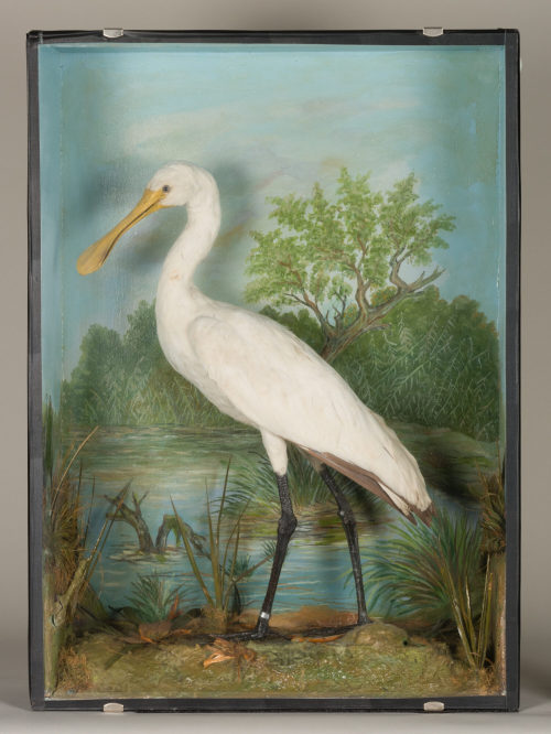 Dr. Peter Frey (Urheber*in), Diorama: Löffler, 1890–1952