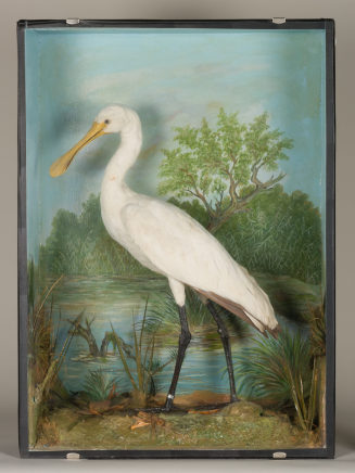 Diorama: Löffler