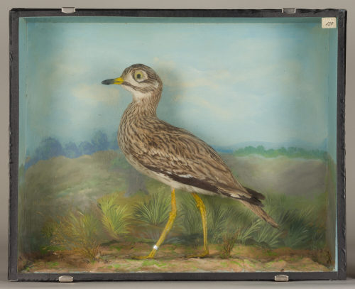 Dr. Peter Frey (Urheber*in), Diorama: Triel, 1890–1952