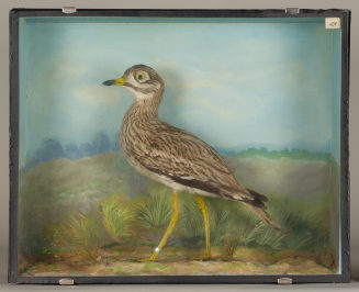 Diorama: Triel