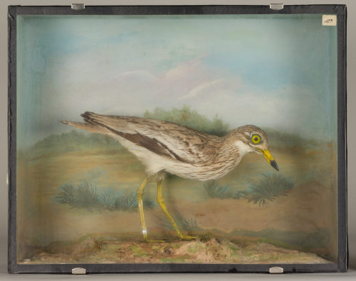Dr. Peter Frey (Urheber*in), Diorama: Triel, 1890–1952