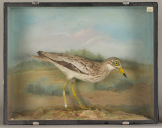 Diorama: Triel
