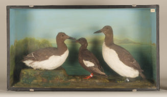 Diorama: Gryllteiste