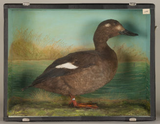 Diorama: Samtente