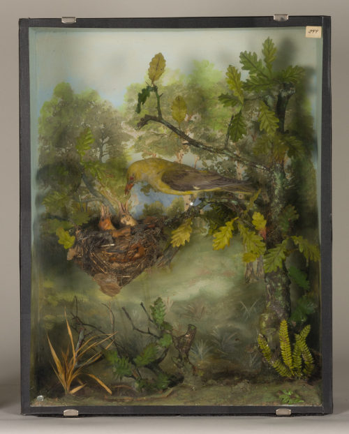 Dr. Peter Frey (Urheber*in), Diorama:, 1890–1952