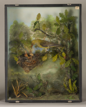 Diorama: