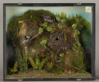 Diorama: Schwanzmeise, Schwanzmeise, Schwanzmeise