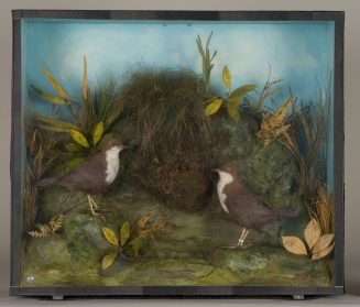 Diorama: