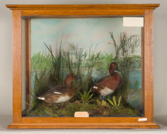 Diorama: Moorente, Moorente, Moorente