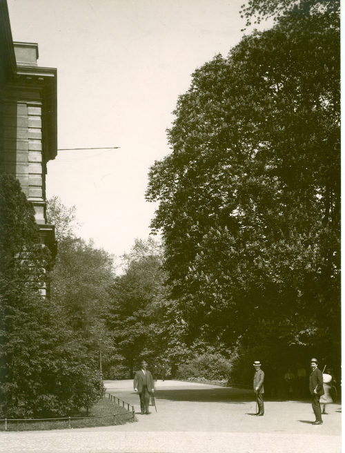 Julius Söhn (Fotograf*in), Ständehausgarten in Düsseldorf, um 1915