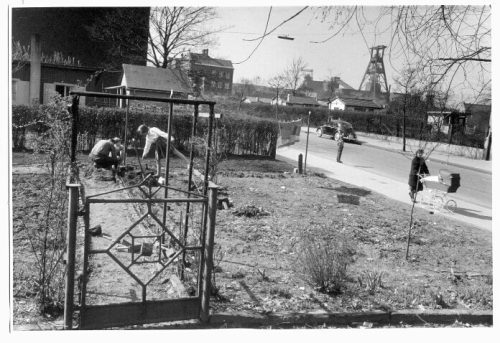 Dirk Alvermann (Fotograf*in), Vorgarten in einer Arbeitersiedlung, Ruhrgebiet, 1965