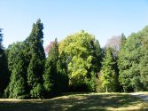 Elbroichpark - Parkimpression