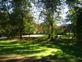 Elbroichpark - Licht und Schatten, Parkimpression