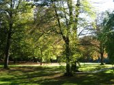 Elbroichpark - schöne Wege und eindrucksvolle Gehölze laden zum Spaziergang