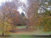 Elbroichpark - Herbstimpressionen