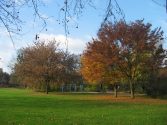 Elbroichpark - großzügige Wiesen und schöne Solitärgehölze