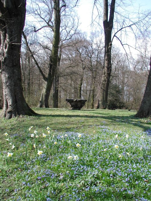 Das Lindenrondell im Lantz'schen Park zur Scillablüte