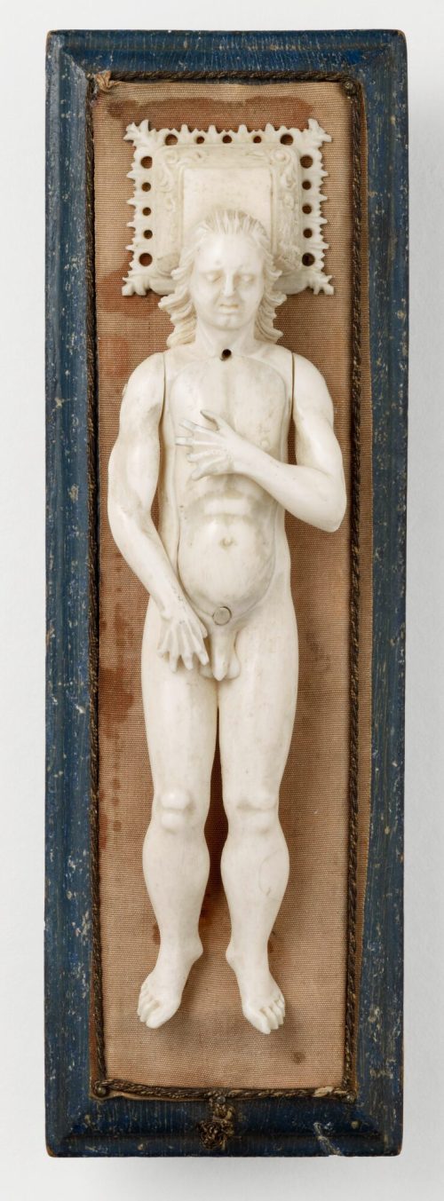 Stephan Zick (Künstler*in), Anatomisches Modell eines Mannes, um 1680