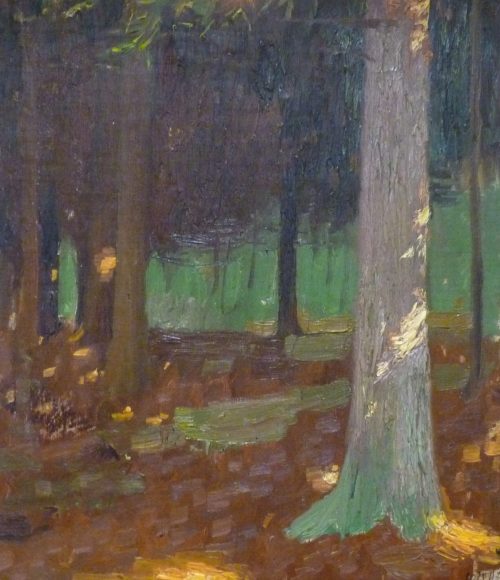 Walter Ophey (Künstler*in), Tannenwald mit Sonnenfluten, um 1906