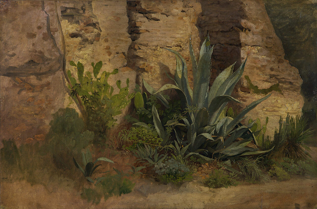 Johann Wilhelm Schirmer, Studie einer Agave, Yucca, eines Feigenkaktus und Ginsters, an der Sta ...