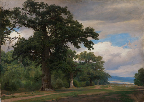 Johann Wilhelm Schirmer, Großer Baum auf Waldschneise (Studie), um 1849, Kunstpalast, Düsseldor ...