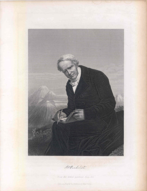 Porträt von Alexander von Humboldt